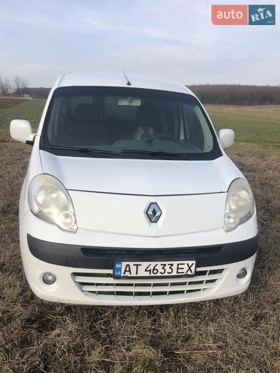 2011 Renault Kangoo - мініатюра 47