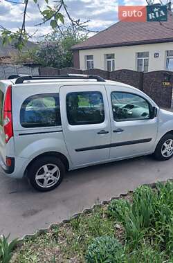 Минивэн Renault Kangoo 2010 в 