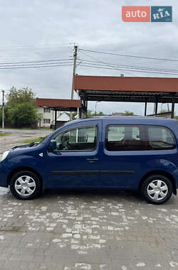 Минивэн Renault Kangoo 2010 в 