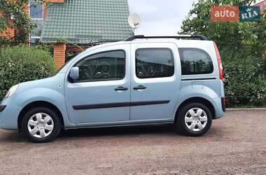 Минивэн Renault Kangoo 2008 в 