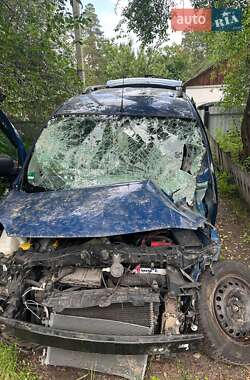 Минивэн Renault Kangoo 2009 в 