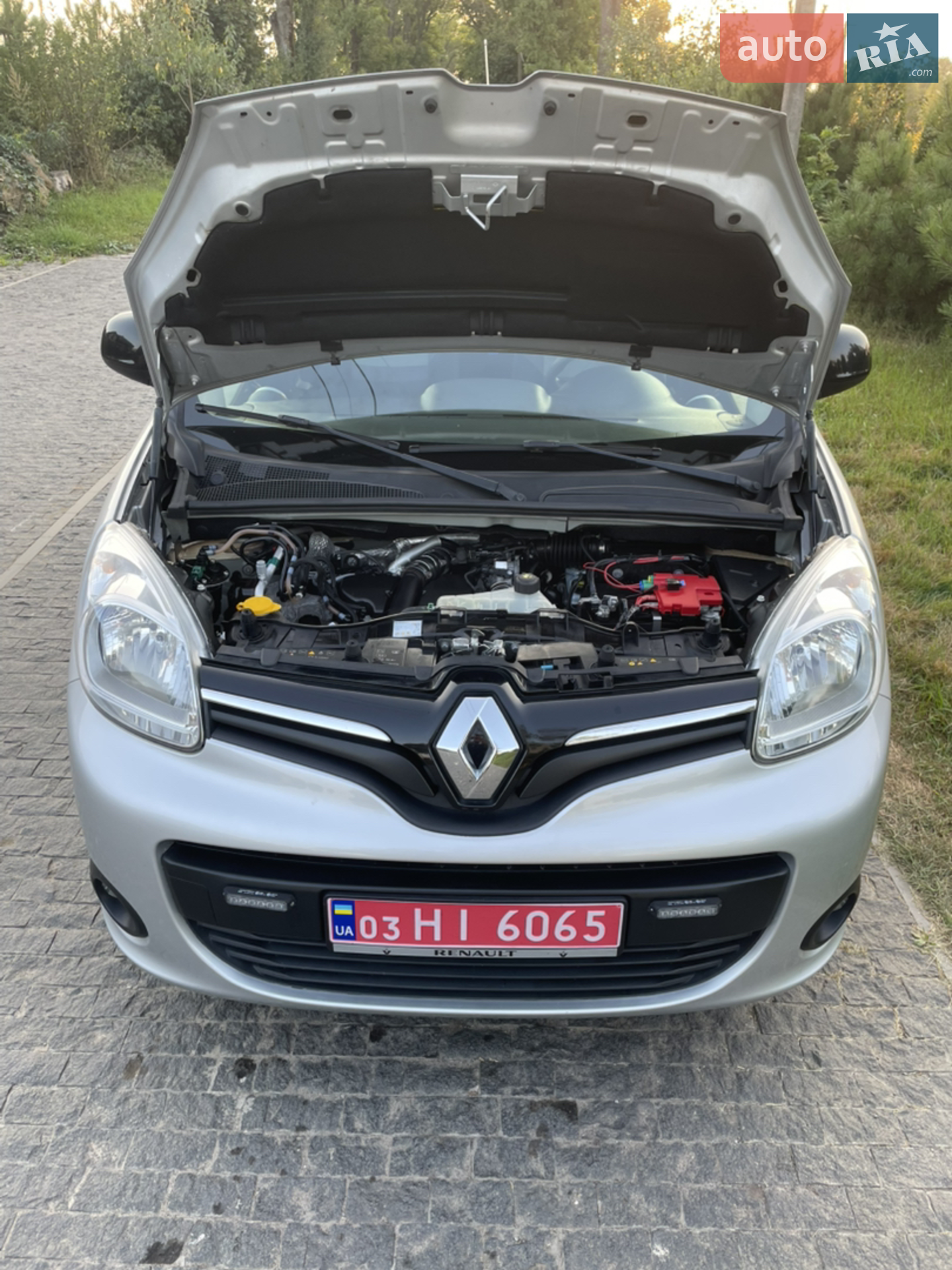 2018 Renault Kangoo - мініатюра 19
