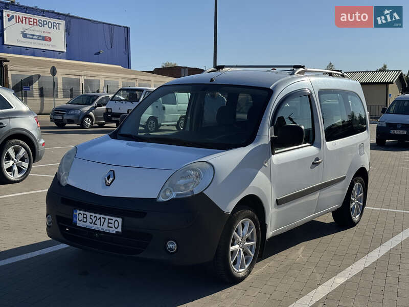 Минивэн Renault Kangoo 2009 в 