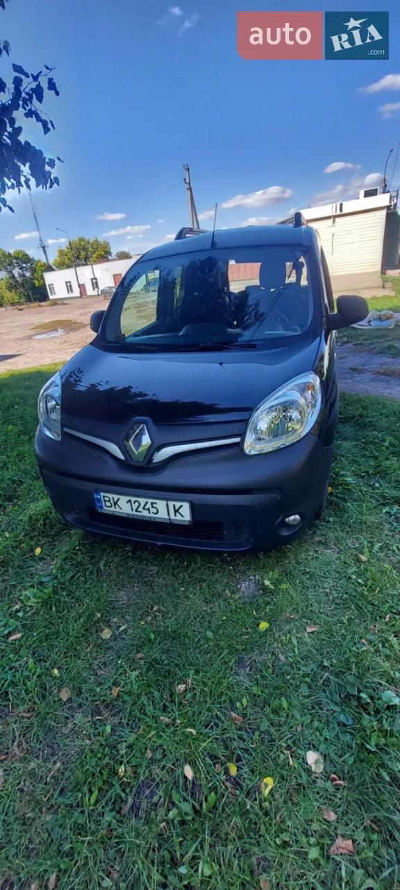 2019 Renault Kangoo - мініатюра 9