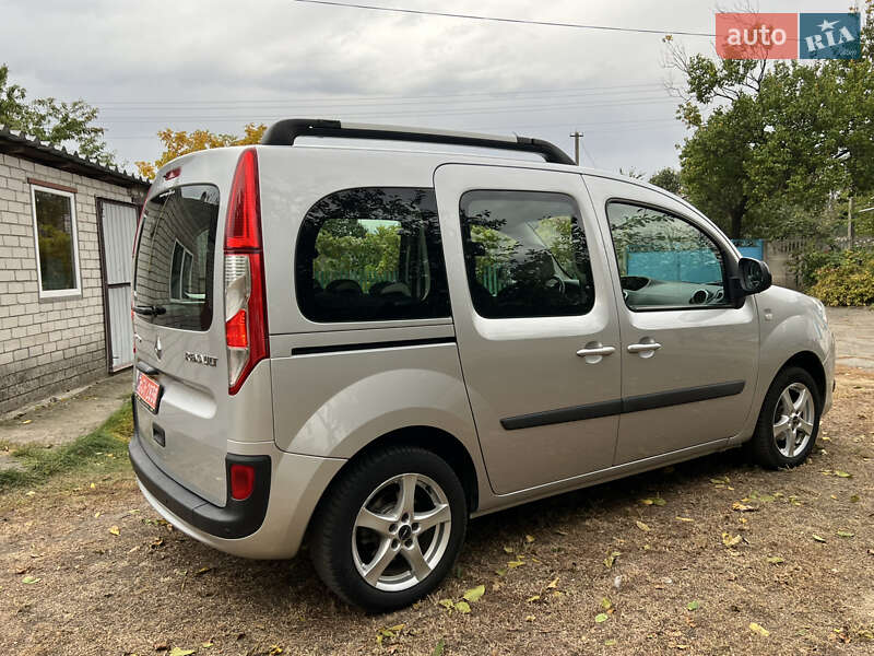 Минивэн Renault Kangoo 2014 в Днепре фото 80 Минивэн Renault Kangoo 2014 в Днепре