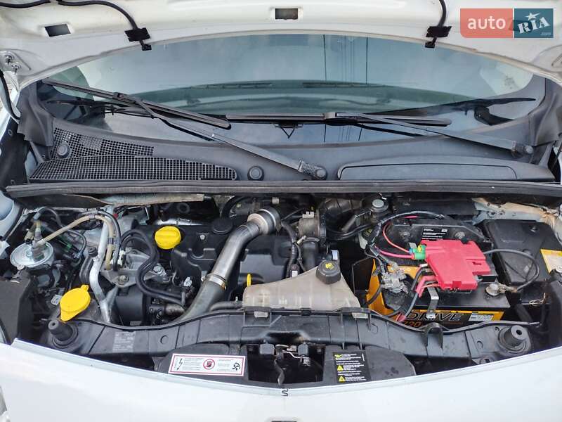 Мінівен Renault Kangoo 2010 в Житомирі