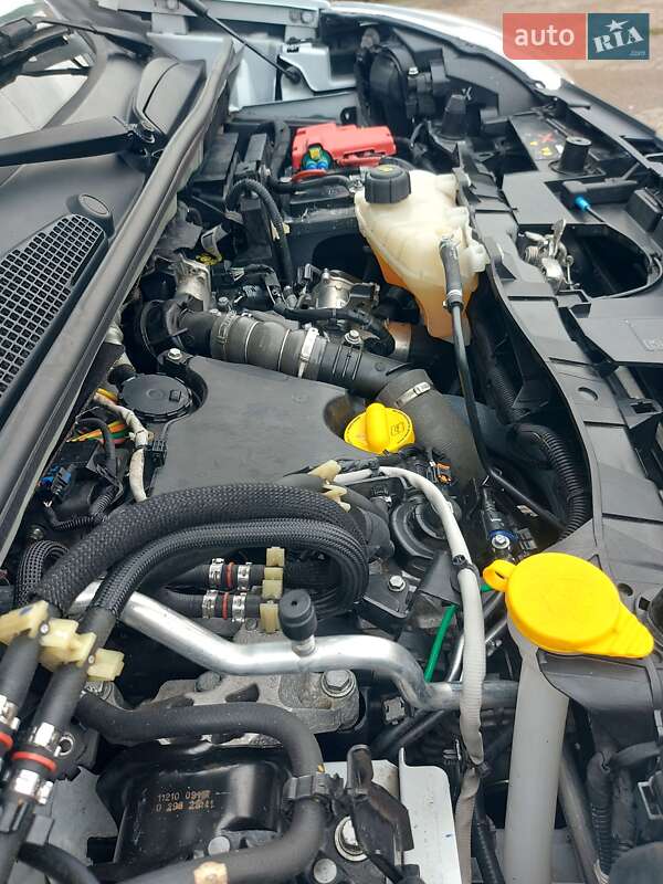 Грузовой фургон Renault Kangoo 2020 в Млинове фото 50 Грузовой фургон Renault Kangoo 2020 в Млинове