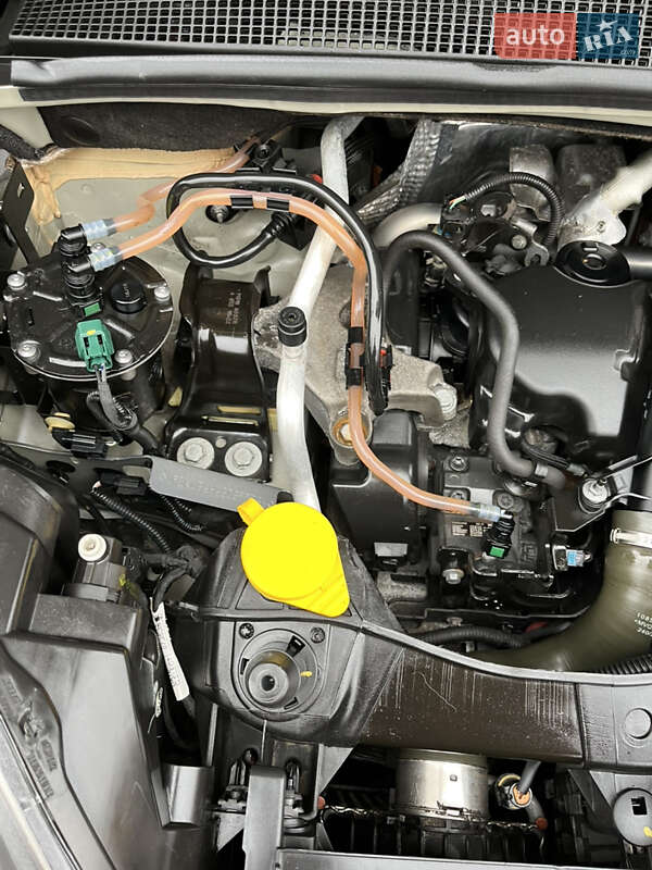 Минивэн Renault Kangoo 2014 в Полтаве фото 34 Минивэн Renault Kangoo 2014 в Полтаве