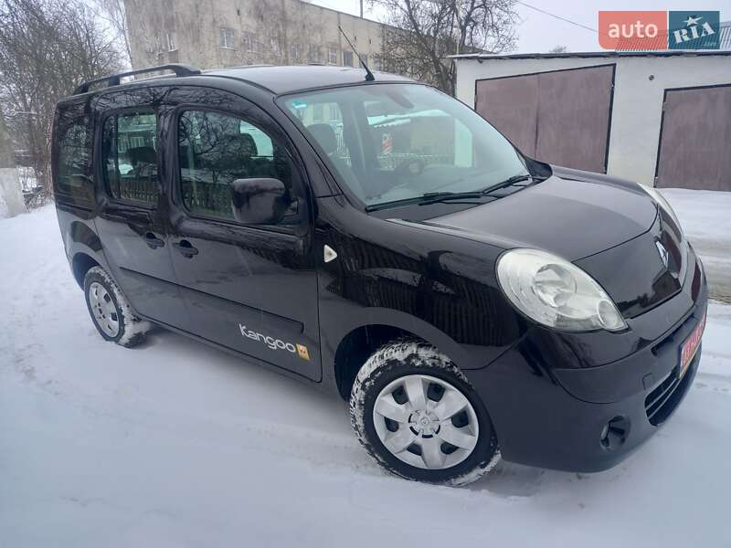 Минивэн Renault Kangoo 2008 в Звенигородке