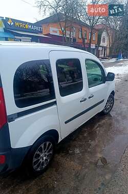 Минивэн Renault Kangoo 2009 в Любашевке