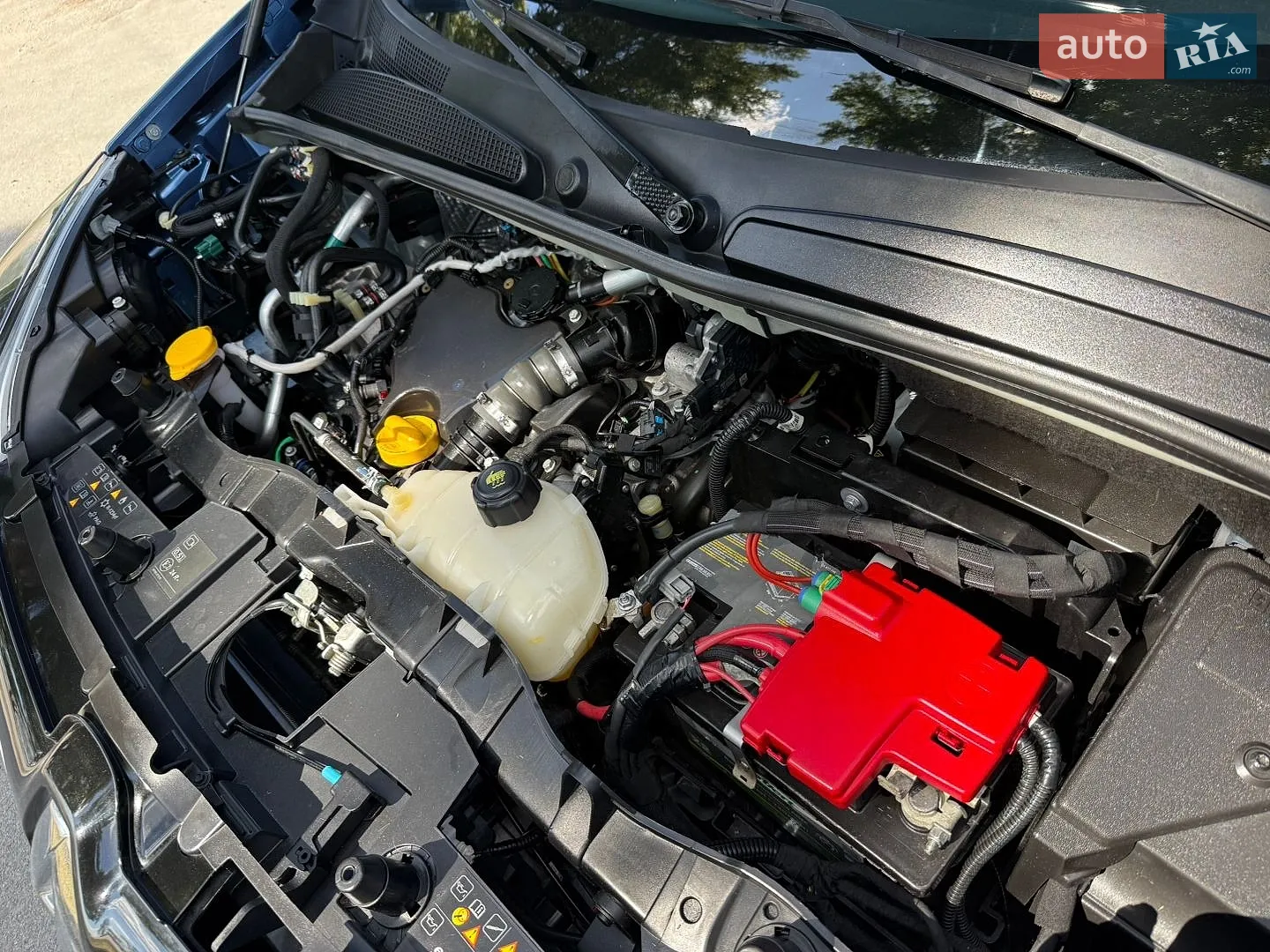 2020 Renault Kangoo - мініатюра 87