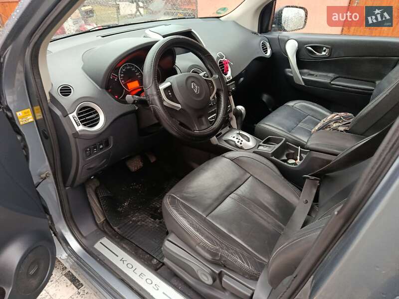 Внедорожник / Кроссовер Renault Koleos 2009 в Звягеле фото 11 Внедорожник / Кроссовер Renault Koleos 2009 в Звягеле
