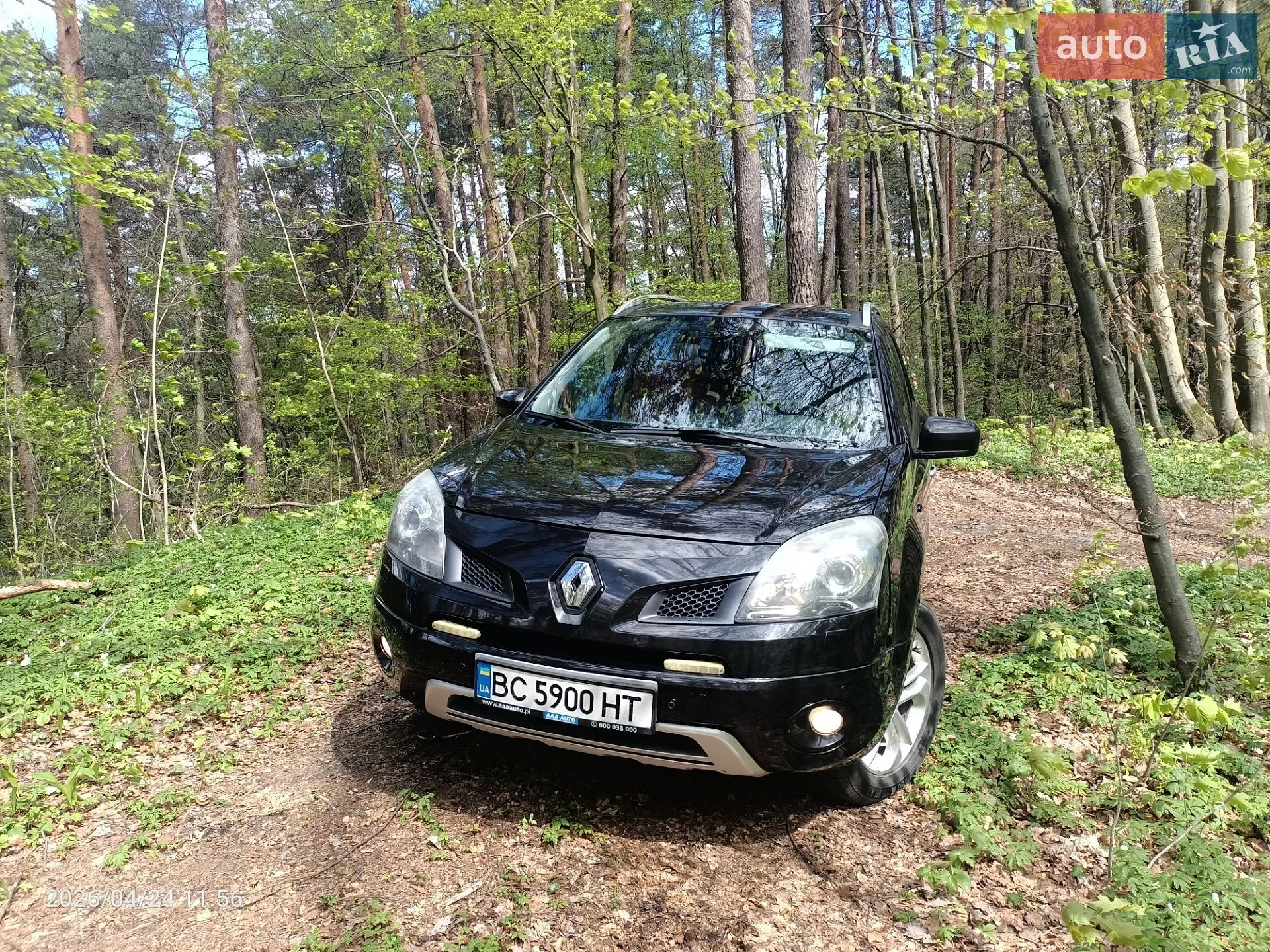 2010 Renault Koleos - мініатюра 4