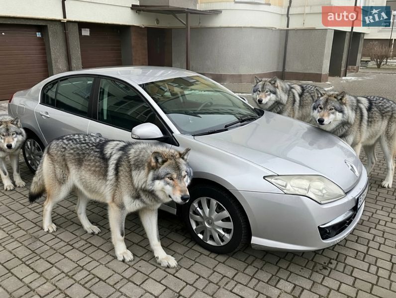 Ліфтбек Renault Laguna 2007 в Івано-Франківську