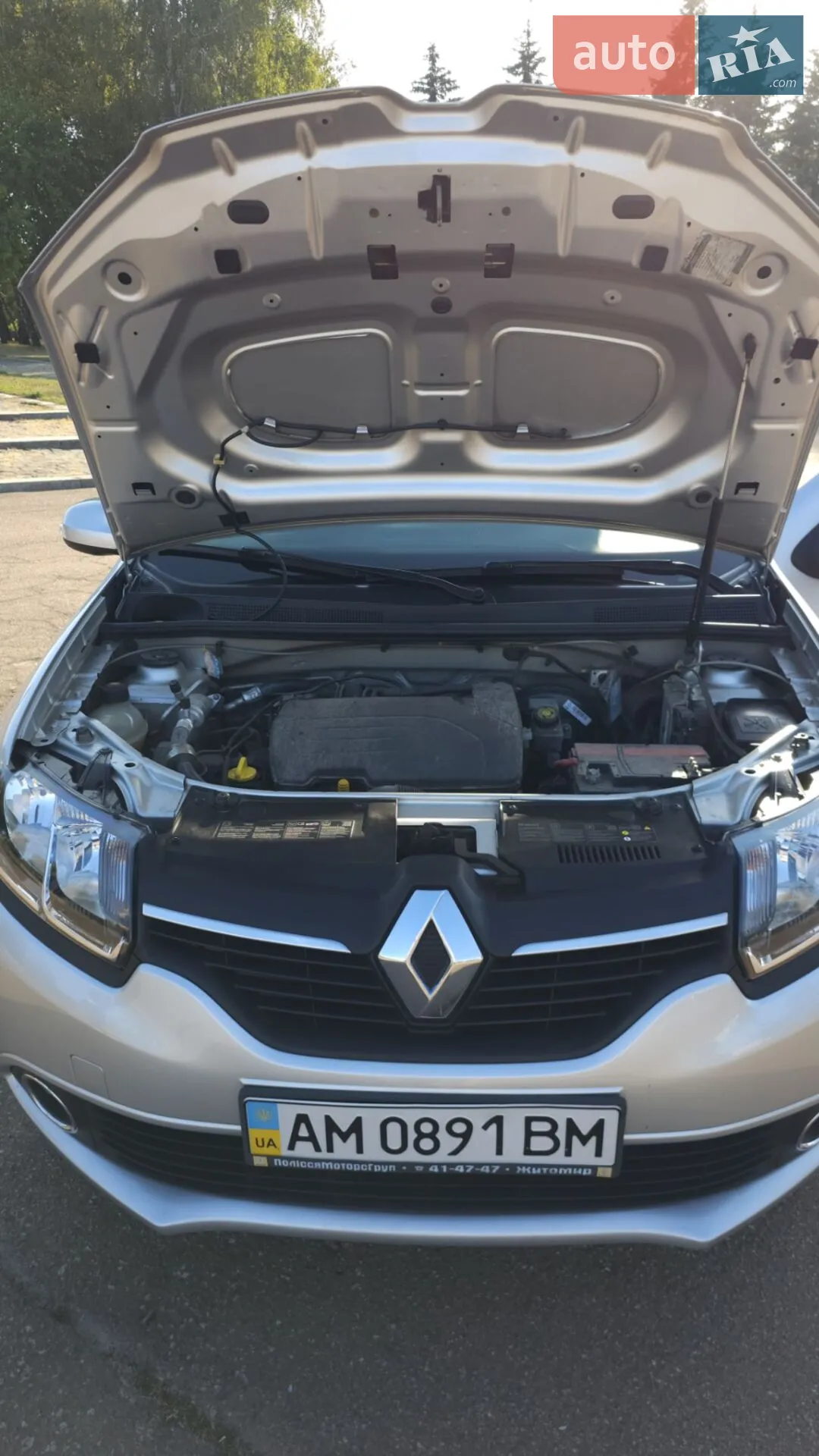 2013 Renault Logan - мініатюра 5