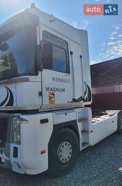 Тягач Renault Magnum 2009 в Ізяславі
