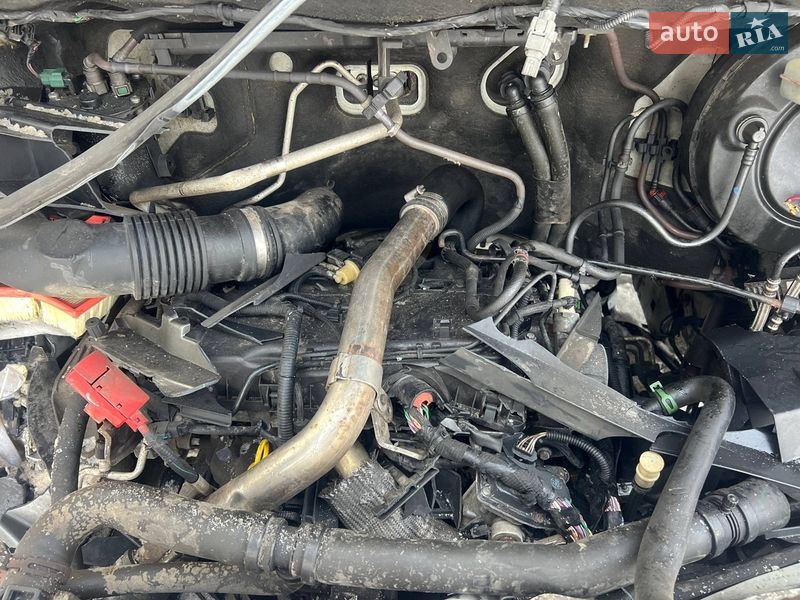 Микроавтобус грузовой (до 3,5т) Renault Master 2018 в Умани