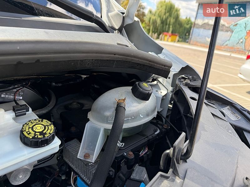 Рефрижератор Renault Master 2020 в Луцьку фото 23 Рефрижератор Renault Master 2020 в Луцьку