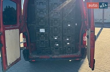 Грузопассажирский фургон Renault Master 2005 в Дрогобыче
