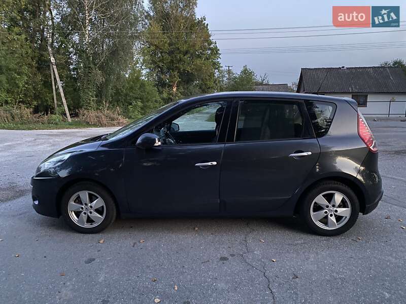 Минивэн Renault Megane Scenic 2010 в Барановке