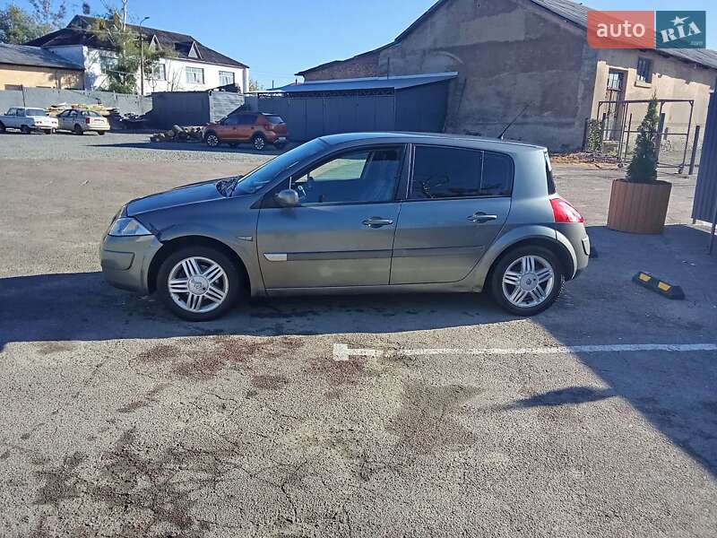 Хетчбек Renault Megane 2003 в Коростені фото 15 Хетчбек Renault Megane 2003 в Коростені