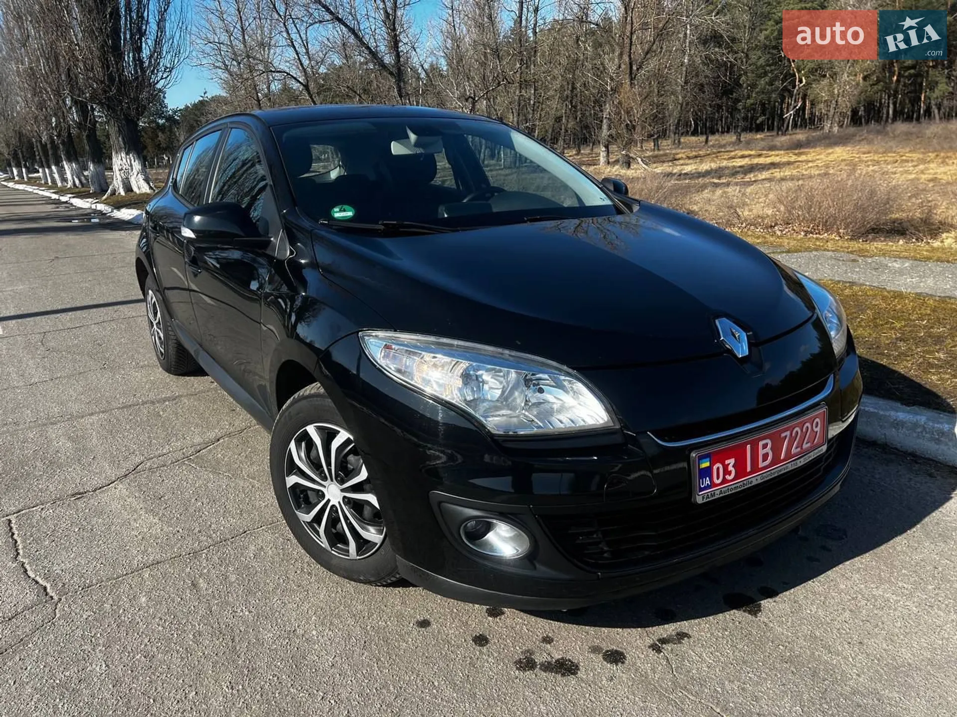 2012 Renault Megane - мініатюра 11