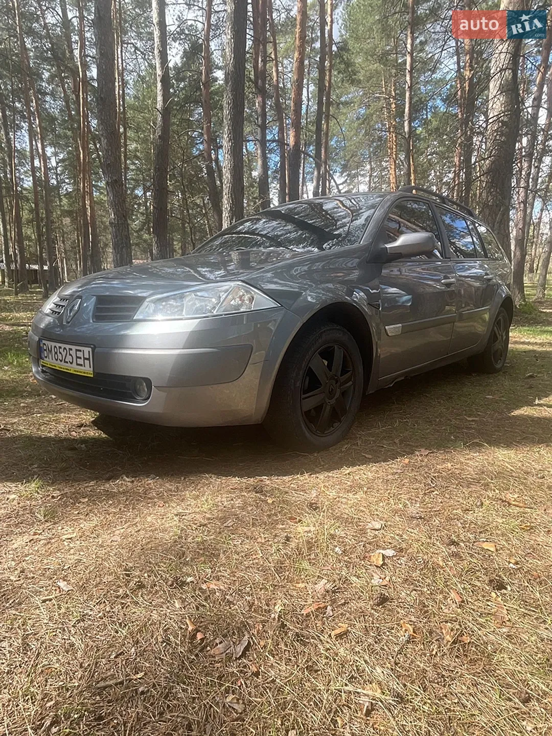 Renault Megane 2004 VIN VF1KM0J0H32775443 фото оголошення 8 з 9