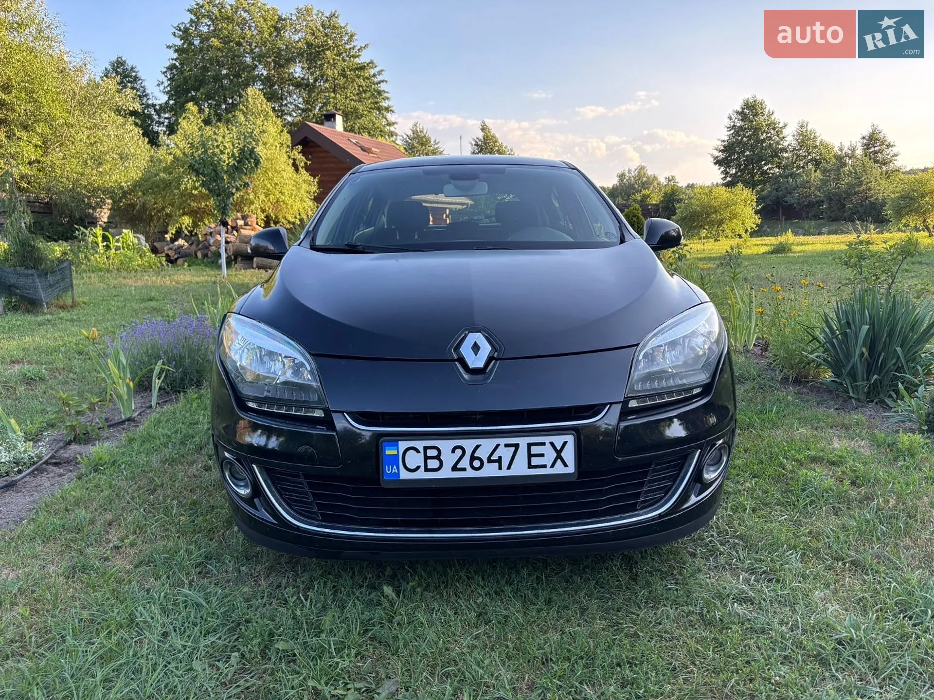 2013 Renault Megane - мініатюра 3