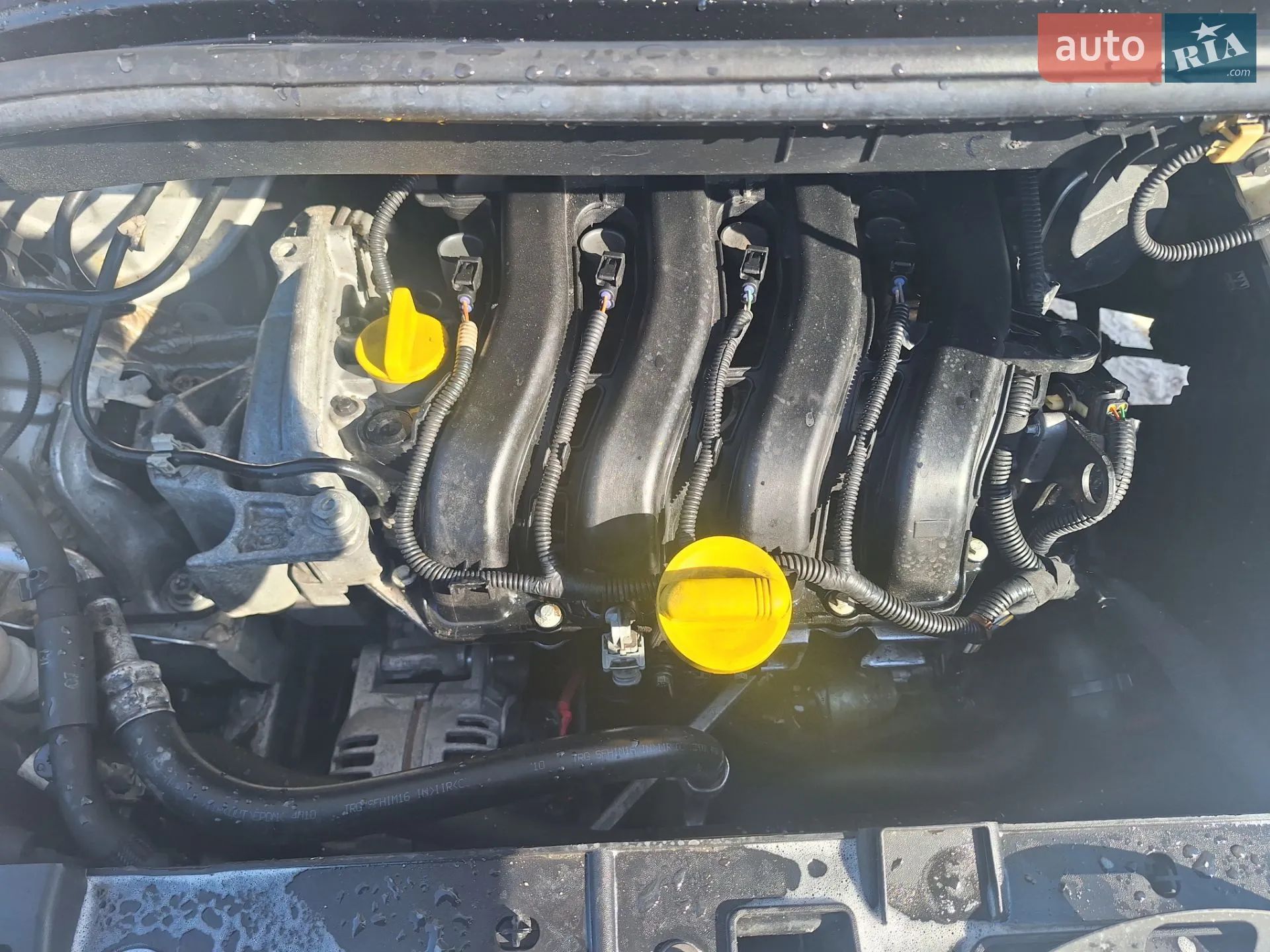 2010 Renault Scenic - мініатюра 19