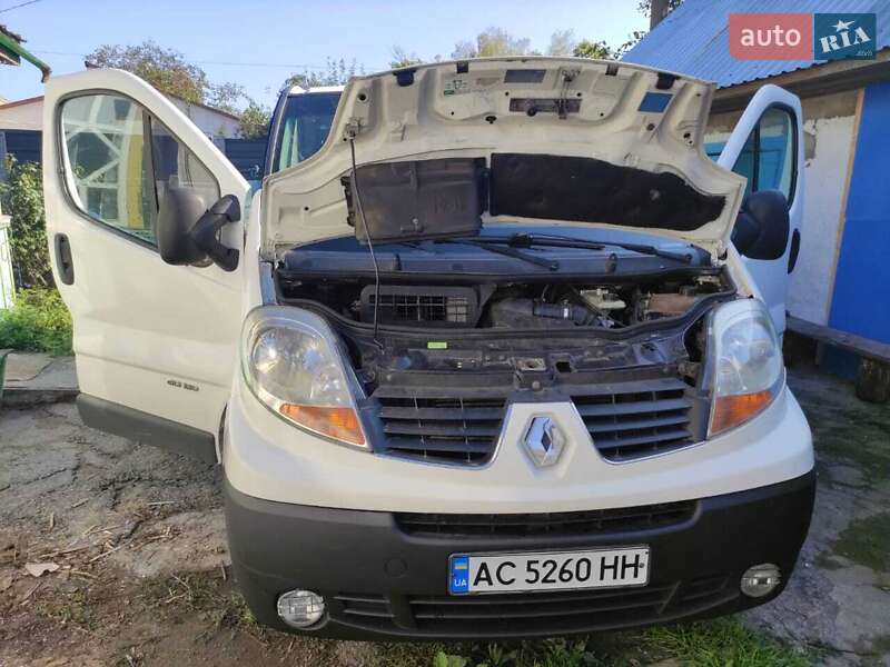 Минивэн Renault Trafic 2007 в Звягеле