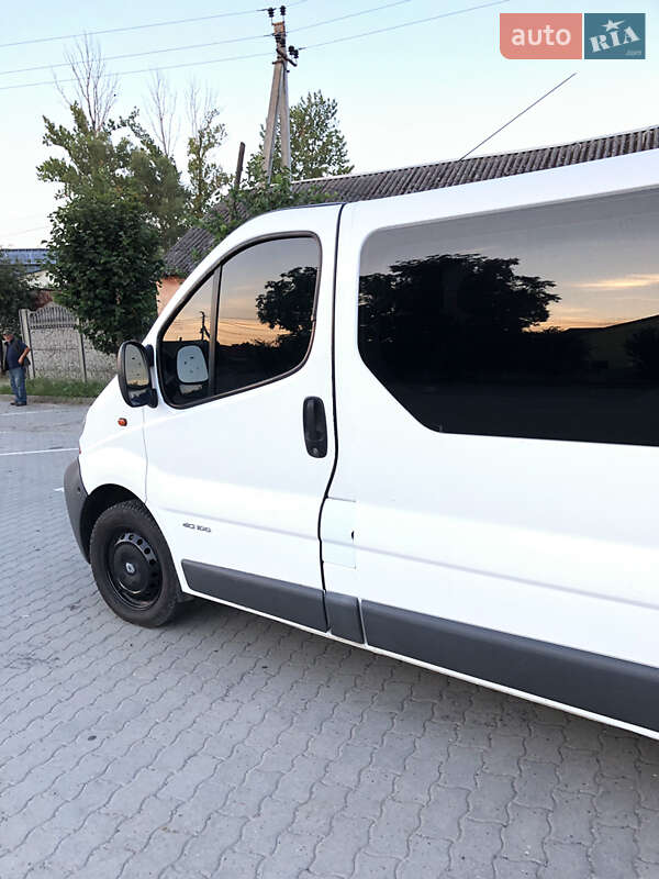Минивэн Renault Trafic 2004 в Городке