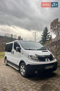 Минивэн Renault Trafic 2010 в Ворохте