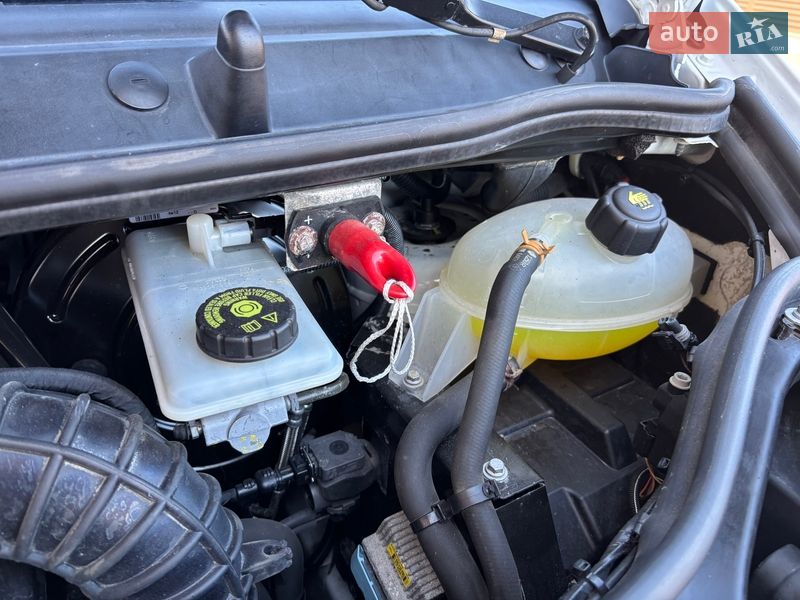 Микроавтобус грузовой (до 3,5т) Renault Trafic 2014 в Костополе