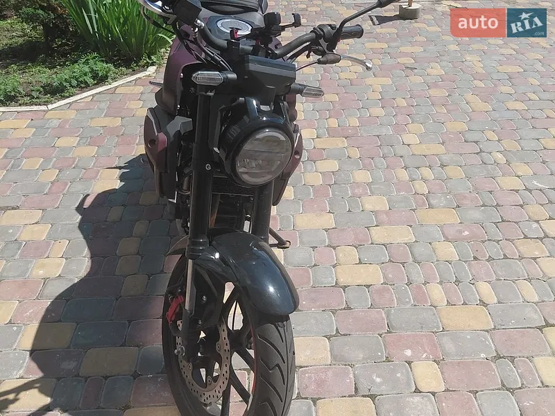 Rider 250 RR 2024