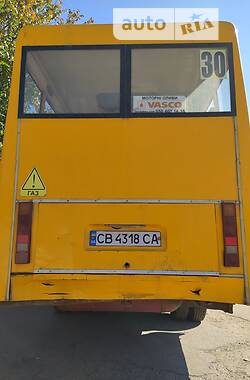 Городской автобус РУТА 25 2011 в Чернигове