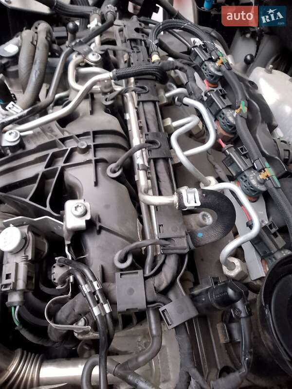 Мінівен SEAT Alhambra 2014 в Виноградові