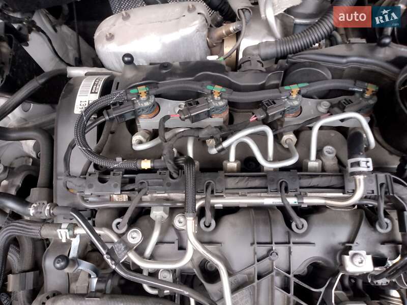 Мінівен SEAT Alhambra 2014 в Виноградові