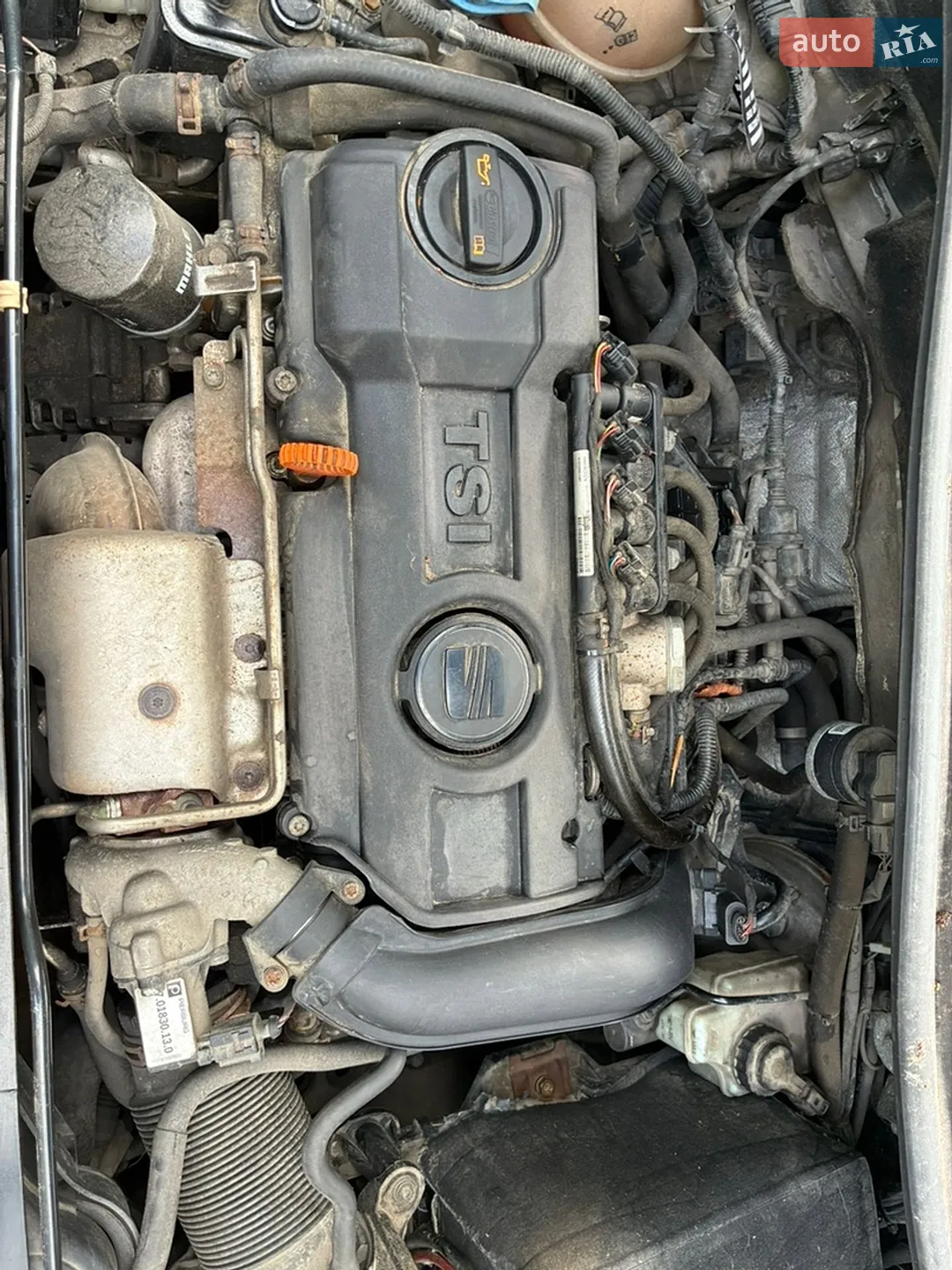 2011 SEAT Altea - мініатюра 12