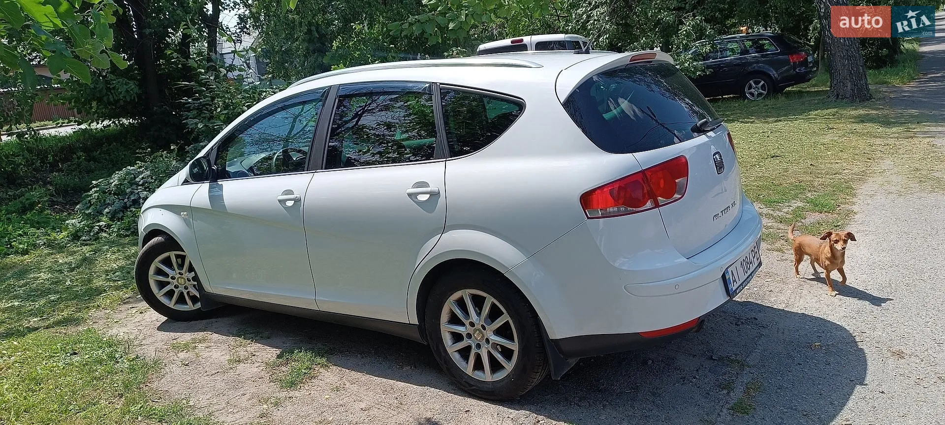 2013 SEAT Altea - мініатюра 3