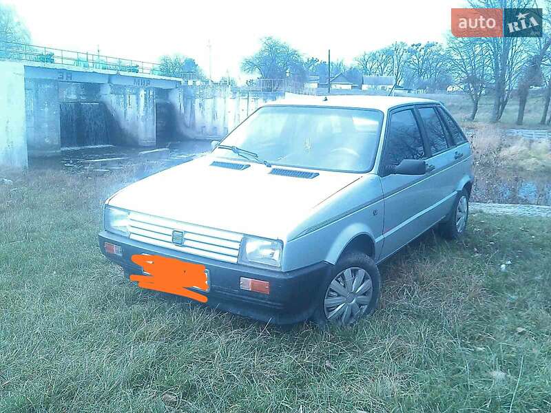 Хэтчбек SEAT Ibiza 1991 в Звягеле