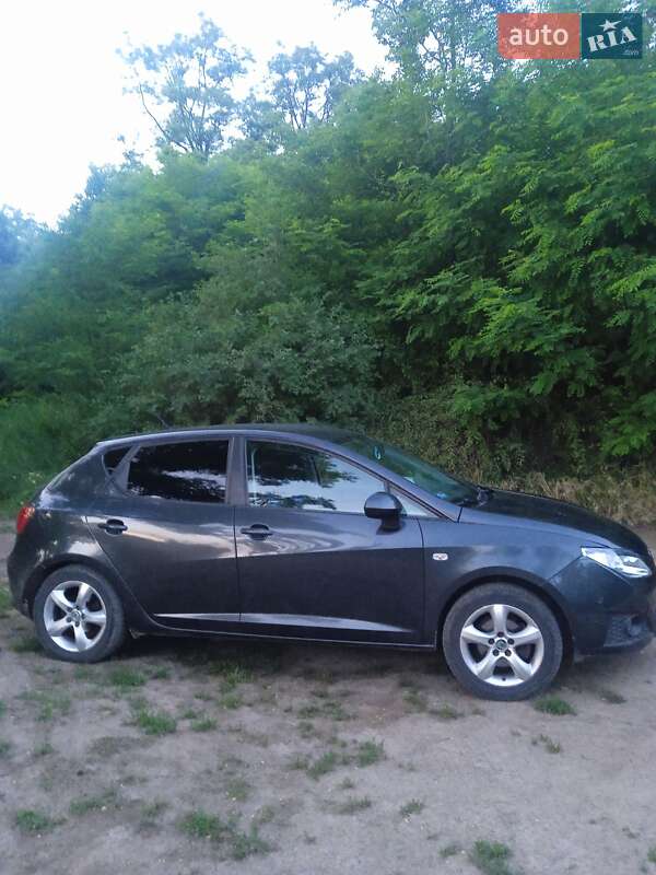 Хетчбек SEAT Ibiza 2008 в Тальному