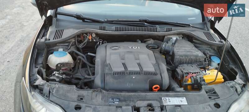 Хетчбек SEAT Ibiza 2010 в Петриківці