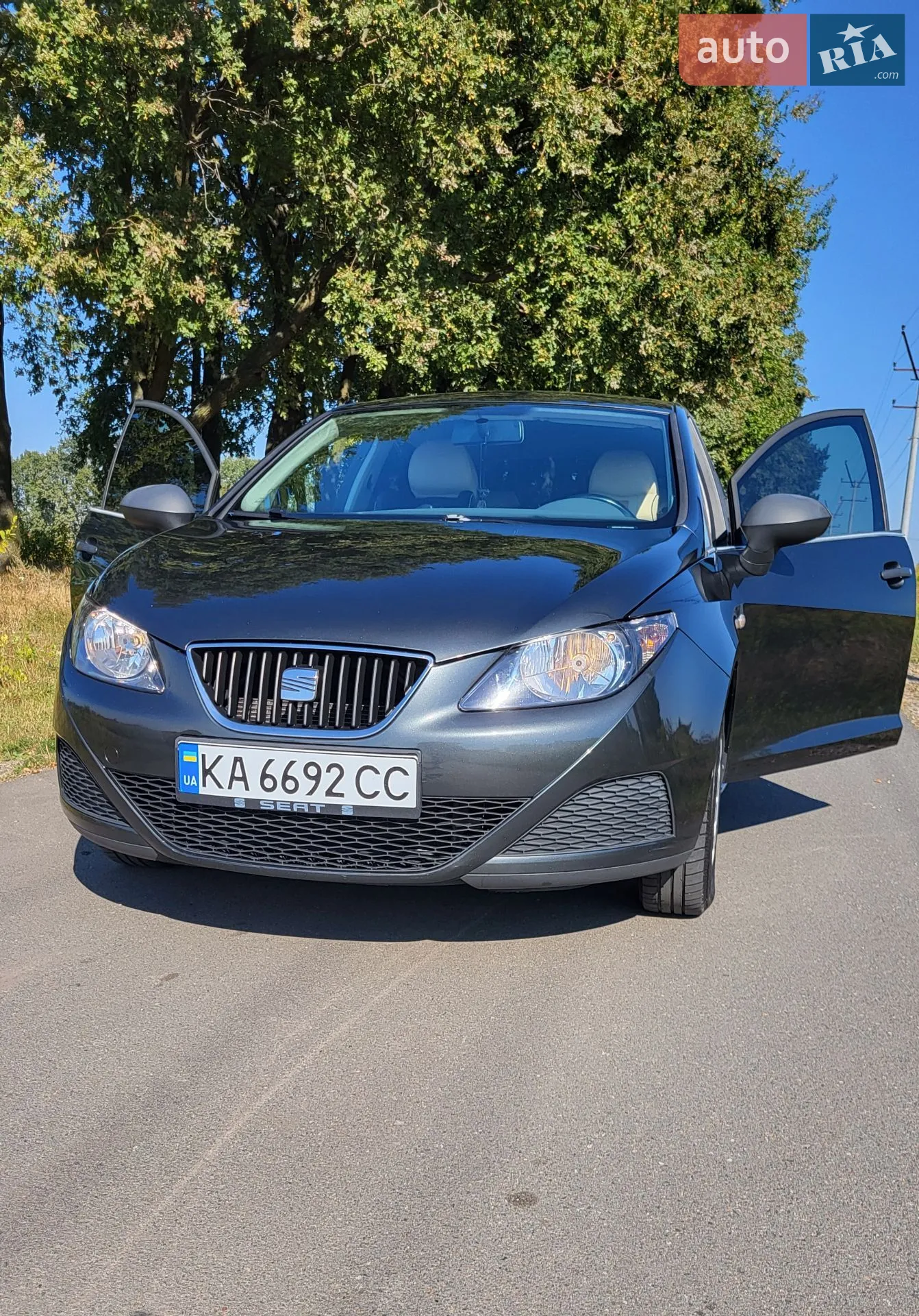 2010 SEAT Ibiza - мініатюра 2