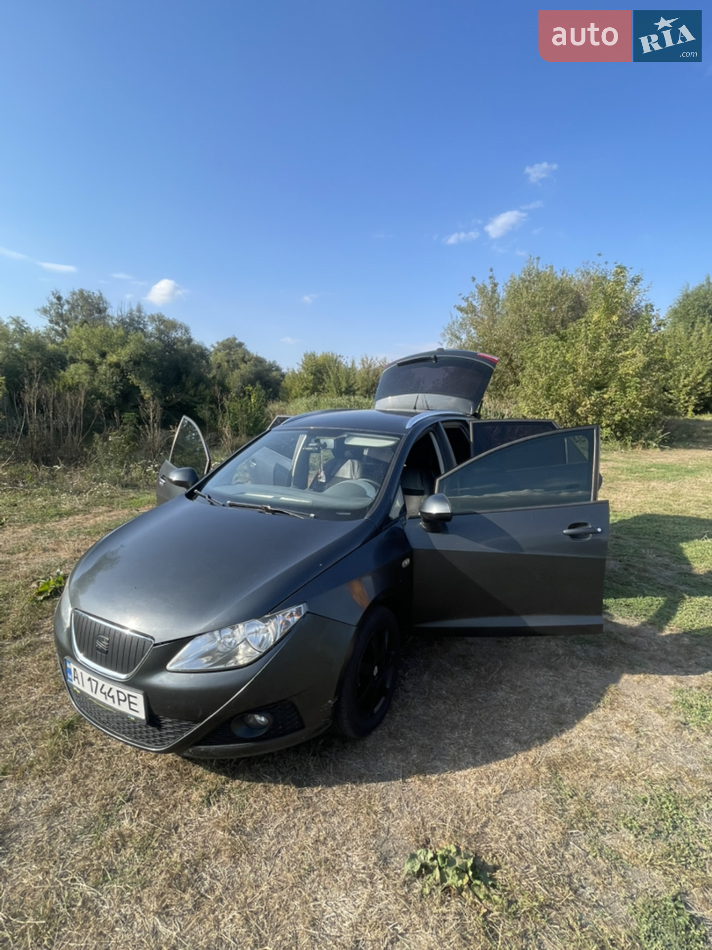 2010 SEAT Ibiza - мініатюра 2