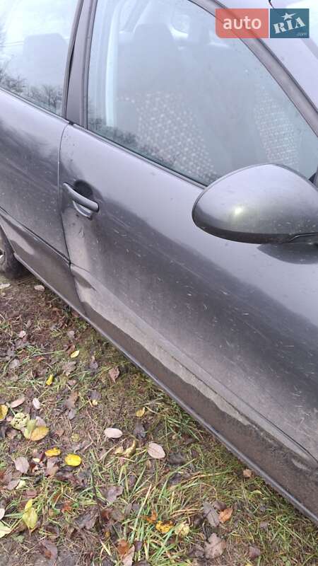 Хэтчбек SEAT Ibiza 2009 в Ярмолинцах