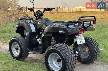Квадроцикл  утилитарный Shineray 200 2019 в 