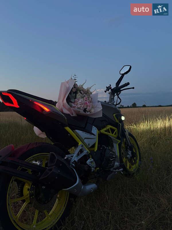 Мотоцикл Классик Shineray Nitrox 300 2025 в Лысянке фото 2 Мотоцикл Классик Shineray Nitrox 300 2025 в Лысянке