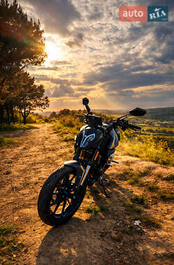 Мотоцикл Без обтікачів (Naked bike) Shineray Nitrox 300 2025 в Львові