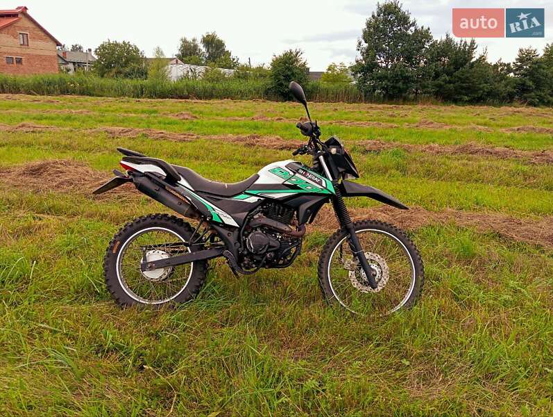 Вантажні моторолери, мотоцикли, скутери, мопеди Shineray XY 200GY-6C 2019 в Бартатові