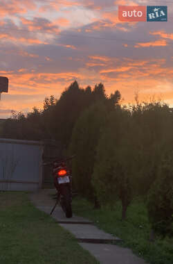 Мотоцикл Внедорожный (Enduro) Shineray XY-250 GY-7 (X6) 2025 в Фастове